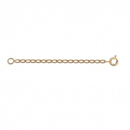 Chaine D'extension CHEVAL 2mm Plaqué OR