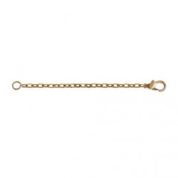 Chaine D'extension FORCAT 2mm P/OR